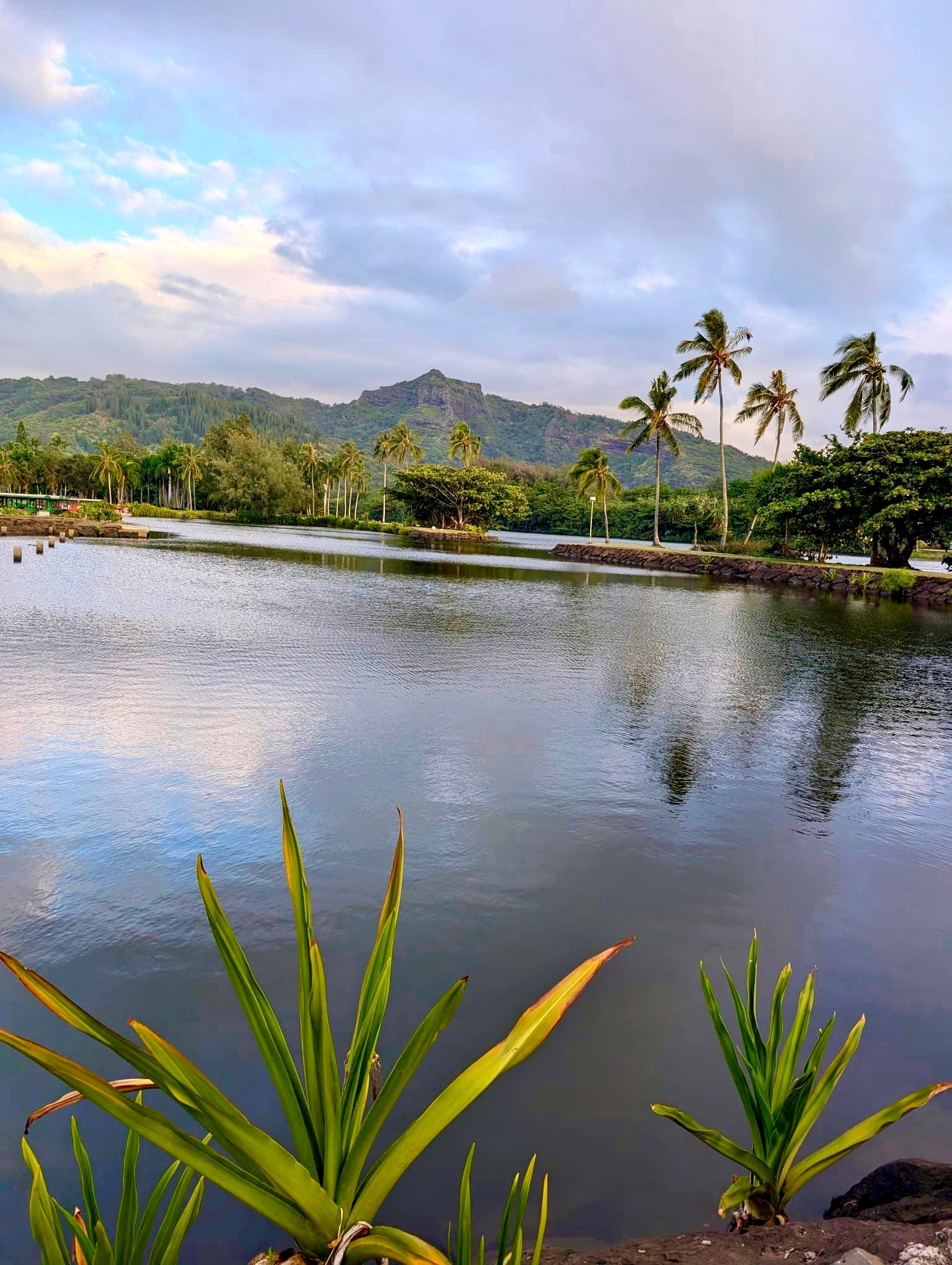 Nāulu Citrus Breeze: A Rain-Kissed Memory from Kauai