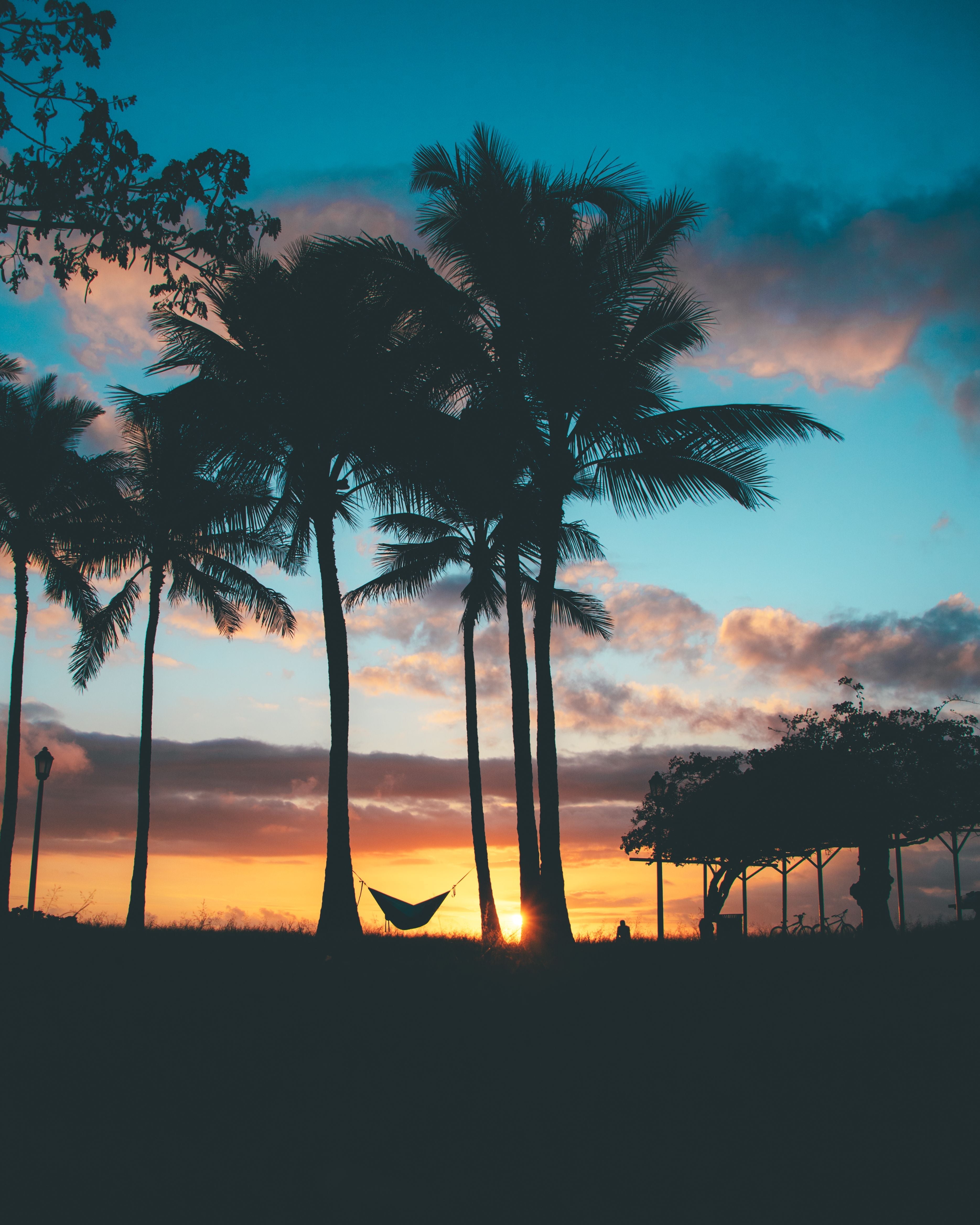 Aloha: More Than a Greeting