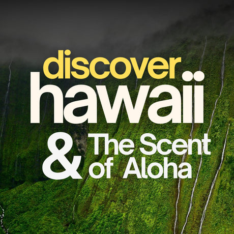 Waikiki | Coconut · Pineapple · Pink Grapefruit · Vanilla