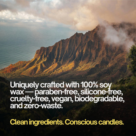 Waikiki | Coconut · Pineapple · Pink Grapefruit · Vanilla