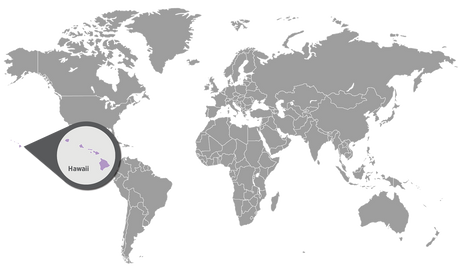 Autumn Aloha | Cinnamon · Nutmeg · Clove